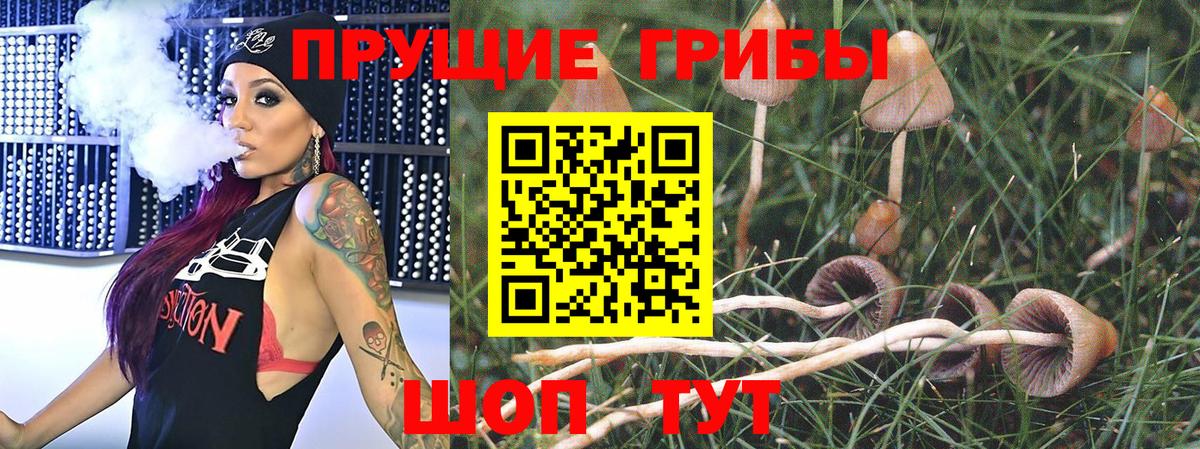 Туапсе  Псилоцибиновые грибы MAGIC MUSHROOMS  Вход с VPN 