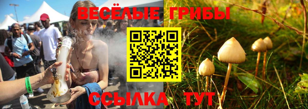 Псилоцибиновые грибы прущие грибы Туапсе